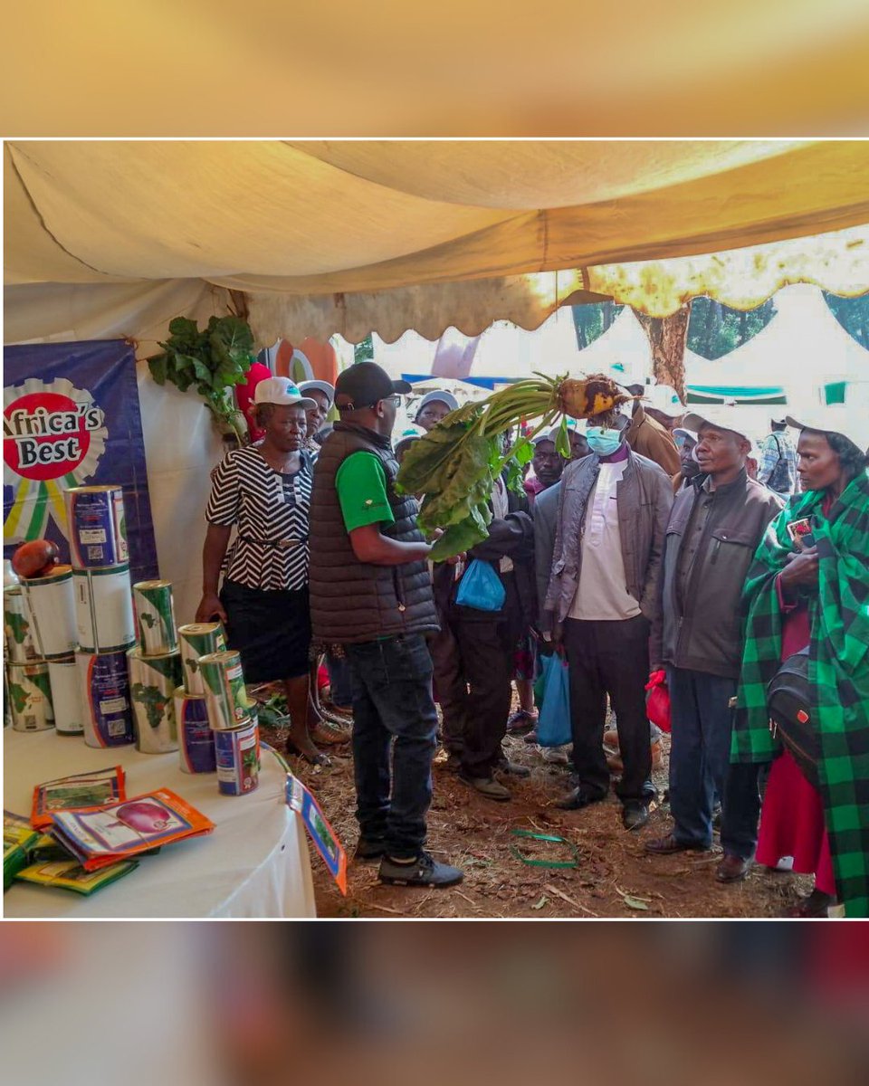 easeedco's tweet image. What a day at the Meru Dairy Coop Show! Farmers flocked to our tent to learn about our Fodder Beets, a game-changer in livestock feed! 🐄
✔ High-yield  
✔ Energy-rich  
✔ Boosts milk &amp;amp; weight gain  
Available in agrovets &amp;amp; EASEED outlets!  
#FodderBeets #DairyFarming #EASEED