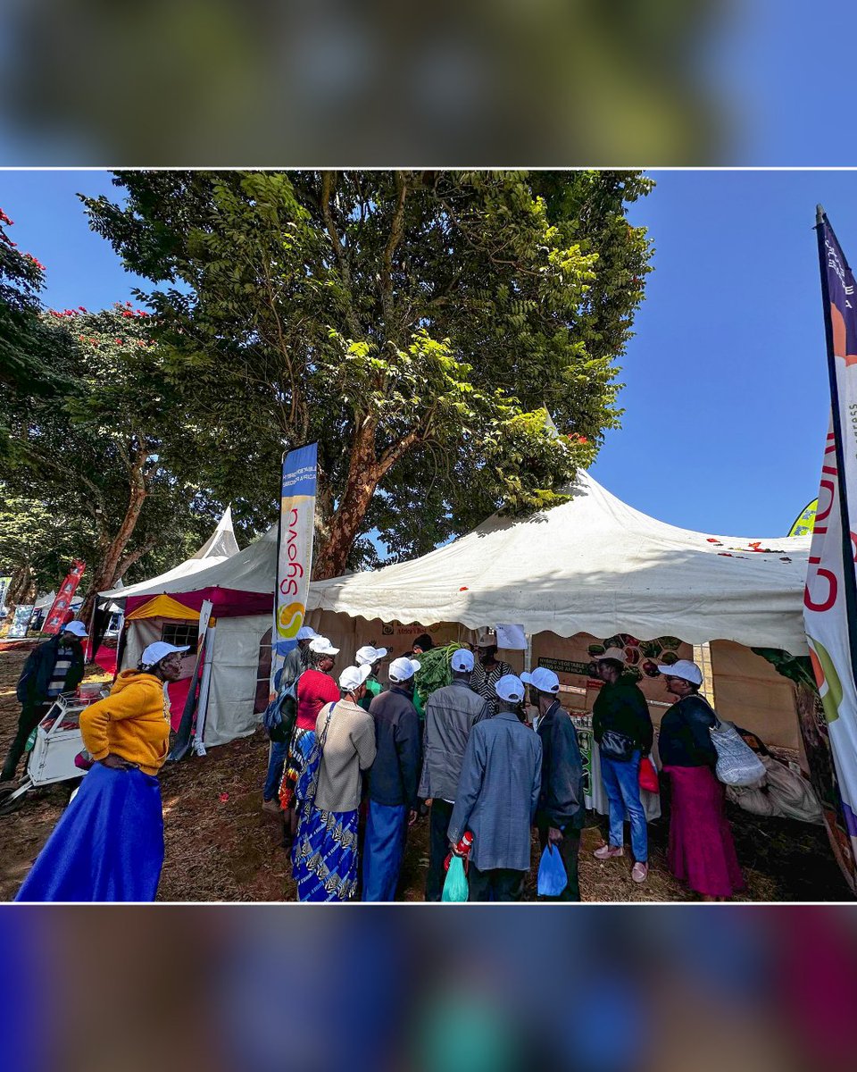 easeedco's tweet image. What a day at the Meru Dairy Coop Show! Farmers flocked to our tent to learn about our Fodder Beets, a game-changer in livestock feed! 🐄
✔ High-yield  
✔ Energy-rich  
✔ Boosts milk &amp;amp; weight gain  
Available in agrovets &amp;amp; EASEED outlets!  
#FodderBeets #DairyFarming #EASEED