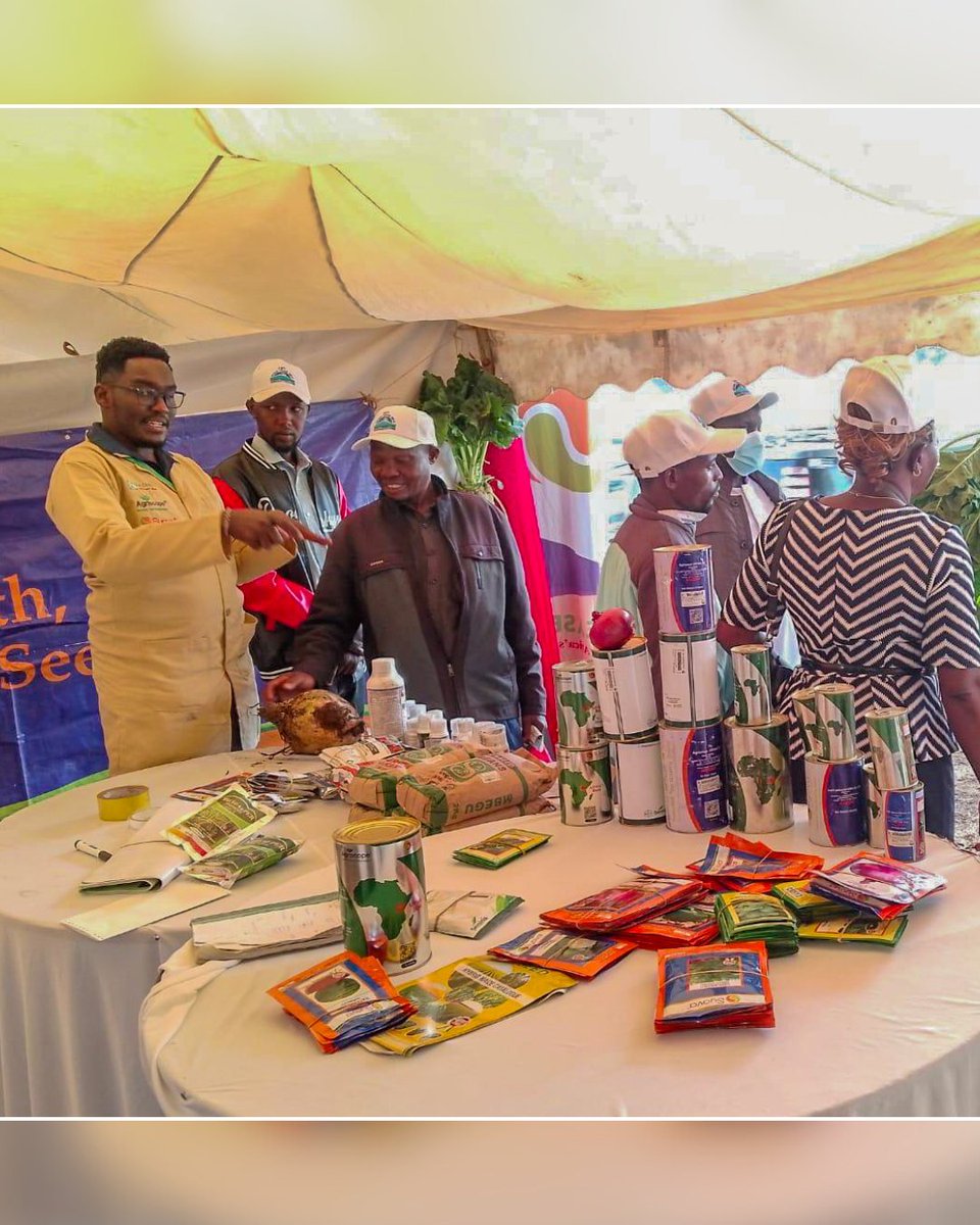 easeedco's tweet image. What a day at the Meru Dairy Coop Show! Farmers flocked to our tent to learn about our Fodder Beets, a game-changer in livestock feed! 🐄
✔ High-yield  
✔ Energy-rich  
✔ Boosts milk &amp;amp; weight gain  
Available in agrovets &amp;amp; EASEED outlets!  
#FodderBeets #DairyFarming #EASEED