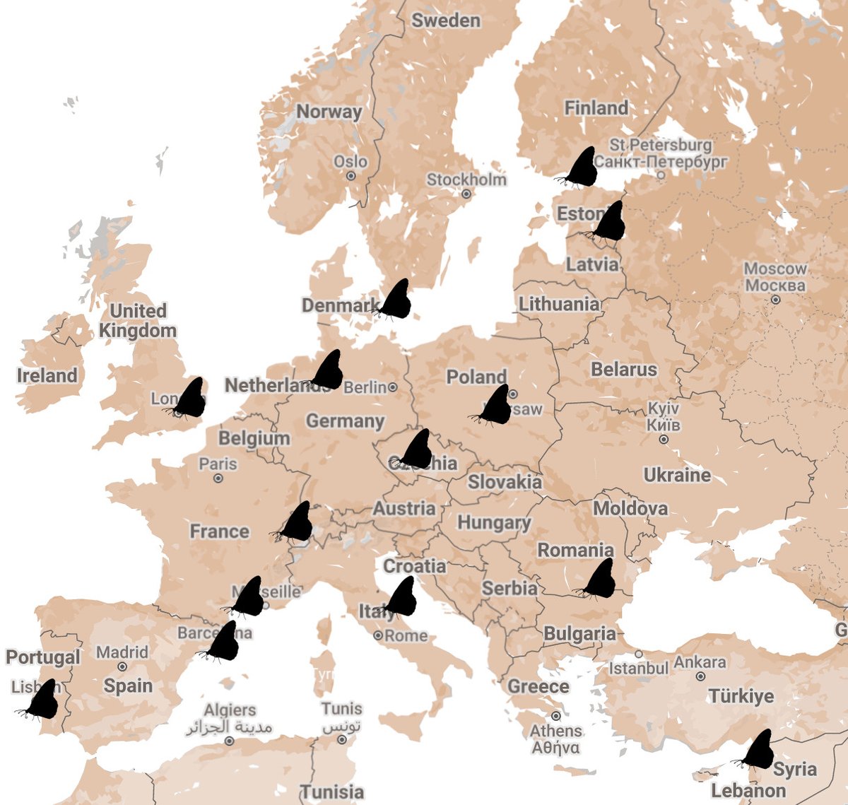 🚨Postdoc opportunity🚨: 
LepEU postdoc: comparative population genomics of European scale adaptation in butterflies.
2 years, in my group, Stockholm Univ. 
Applications assed on rolling basis, deadline: 23 August 2025. Planned start 1 Oct.   
Details:  christopherwheatlab.wordpress.com