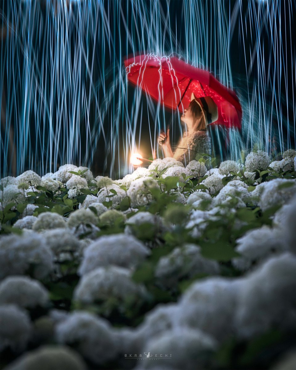 から梅雨でもアナベル
#東京カメラ部
#アナベル