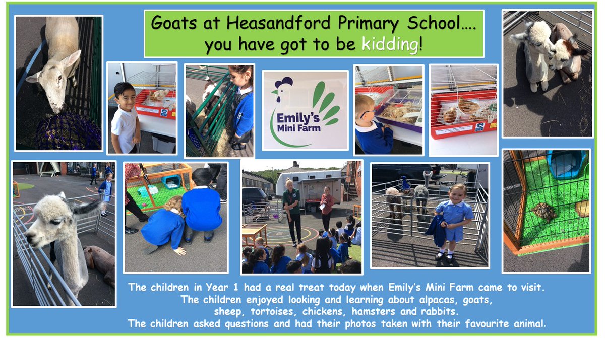 Year 1 had a real treat when Emily’s Mini Farm came to visit. The children enjoyed looking and learning about alpacas, goats, sheep, tortoises, chickens, hamsters and rabbits. They asked questions about and had their photos taken with their favourite animals.