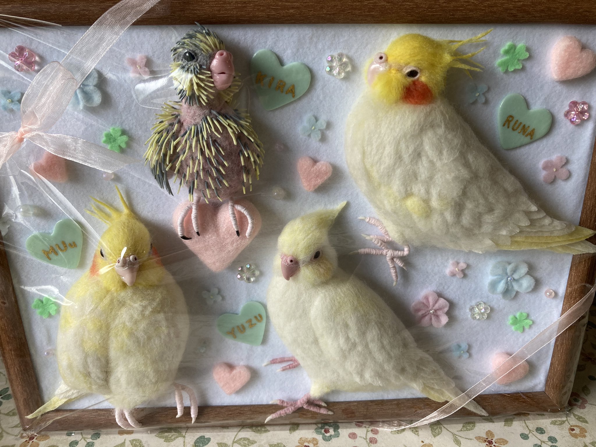 受注作成品】 オカメインコ WFパイド ホワイトフェイス 羊毛