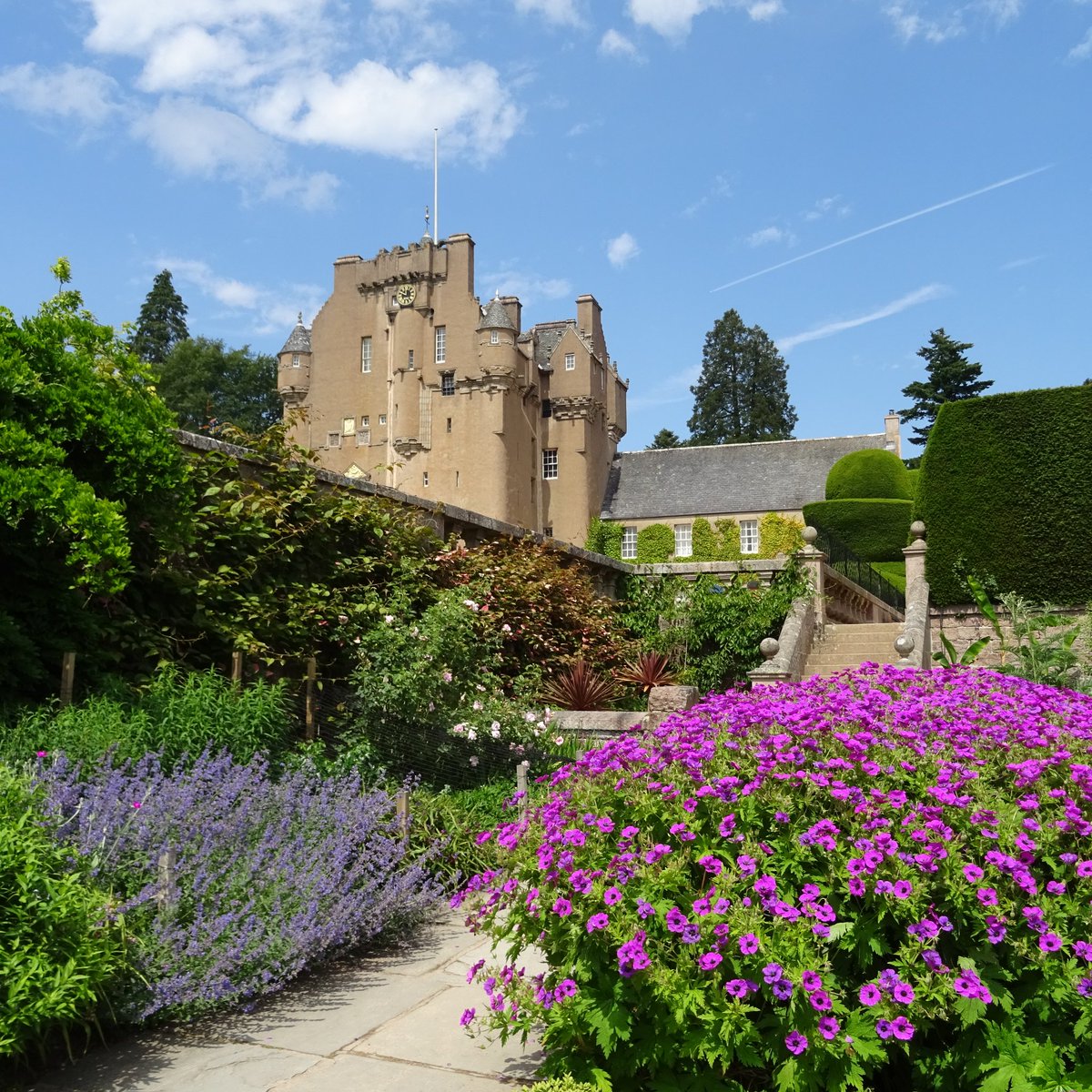 niaga_hijau's tweet image. #MagentaMonday #MondayBlue
Rolled into one with this colourful pic of 16thC Crathes Castle and a gorgeous patch of Hardy #Geraniums..
#nature #flowers #castles #photography
Wishing you a good day and week..
#art #naturelovers .. ☀️🌱💜🕊