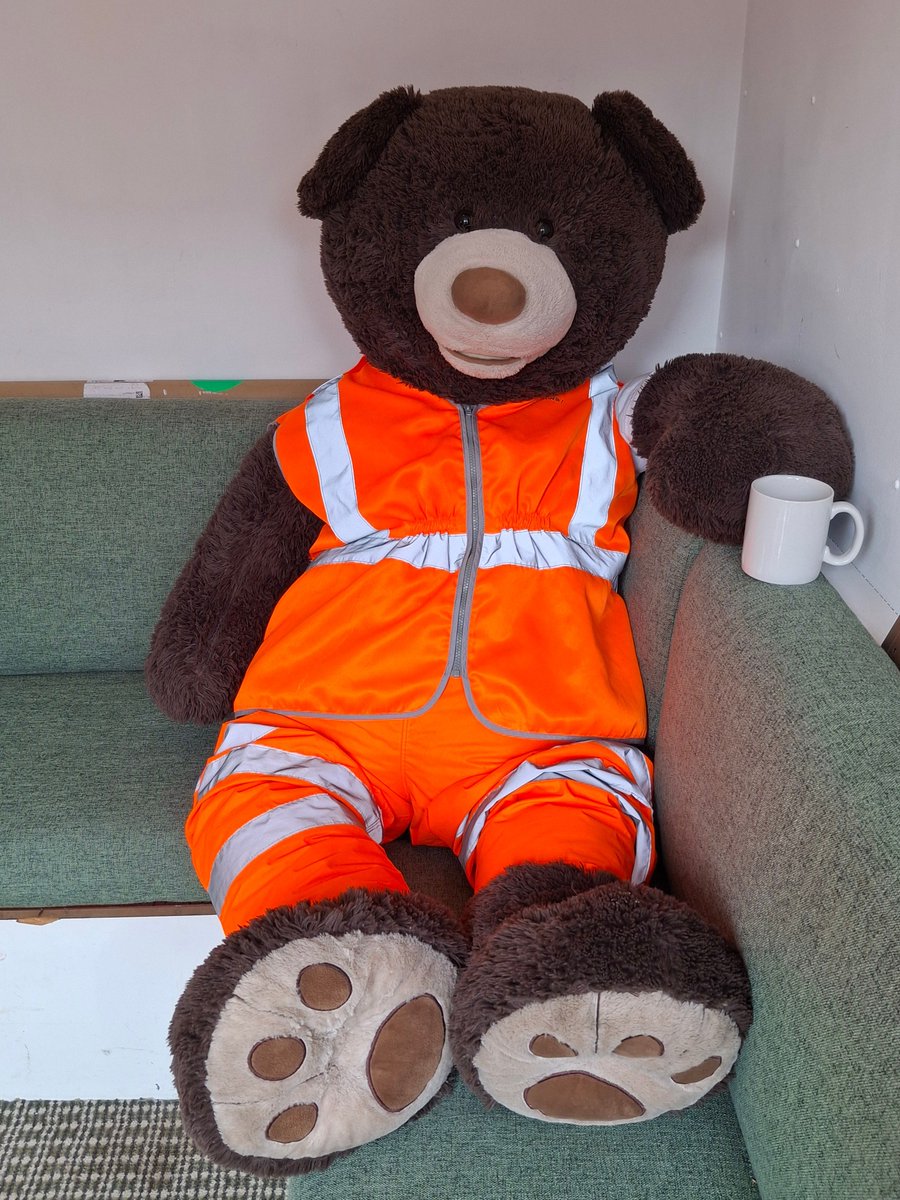 A cleaner and happier 🐻,  already to start a new week out and about on his train