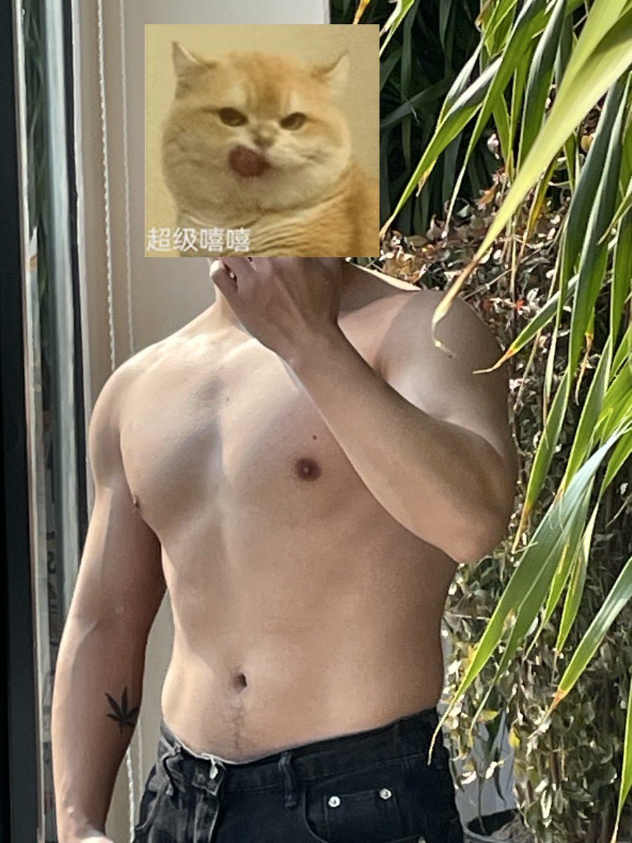 唯物主义战士 tweet media