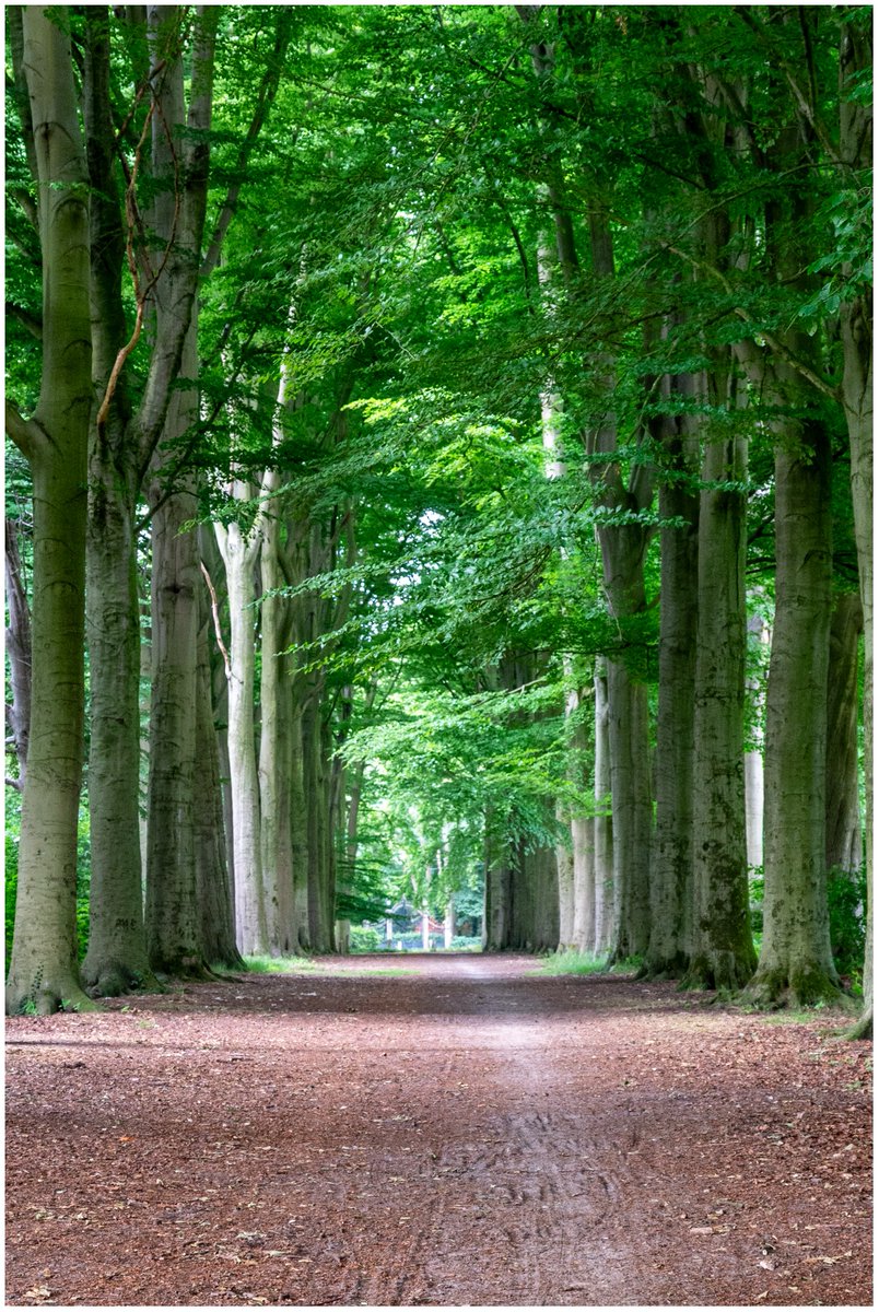 Fotograafsvc's tweet photo. Lozerdreef 1 van de mooiste plekken in #Kruisem #Kruishoutem #Lozer https://t.co/YLTDSBynX7