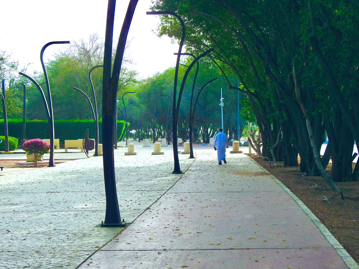 NajranMunicipal's tweet photo. أنسنة وبهجة |

المسارات المخصصة للنشاط البدني …
ليست مجرد مساحة للحركة
بل بيئة داعمة لنمط حياة صحي✨

#أمانة_منطقة_نجران https://t.co/hxeK8BGyMV
