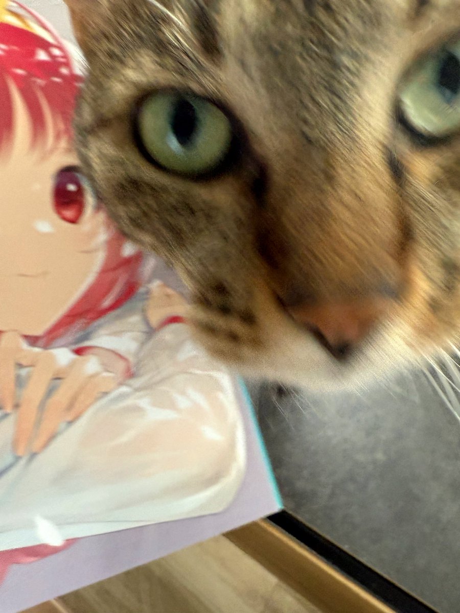 私の隔週コラム、この表紙のファミ通に載ってるよー