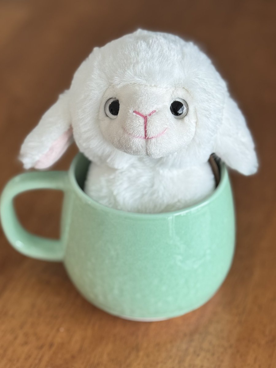 自分はフランスまで行って買ってきたお土産はこの羊のぬいぐるみとドバイ空港のスタバで買ったマグだけ。
物増えるのと物を沢山持って帰ってくるのが嫌すぎて...
でもフランスとかドバイとか全く関係ないけどこの羊めちゃくちゃ可愛くないですか？
そしてマグの色めちゃ良くないですか？