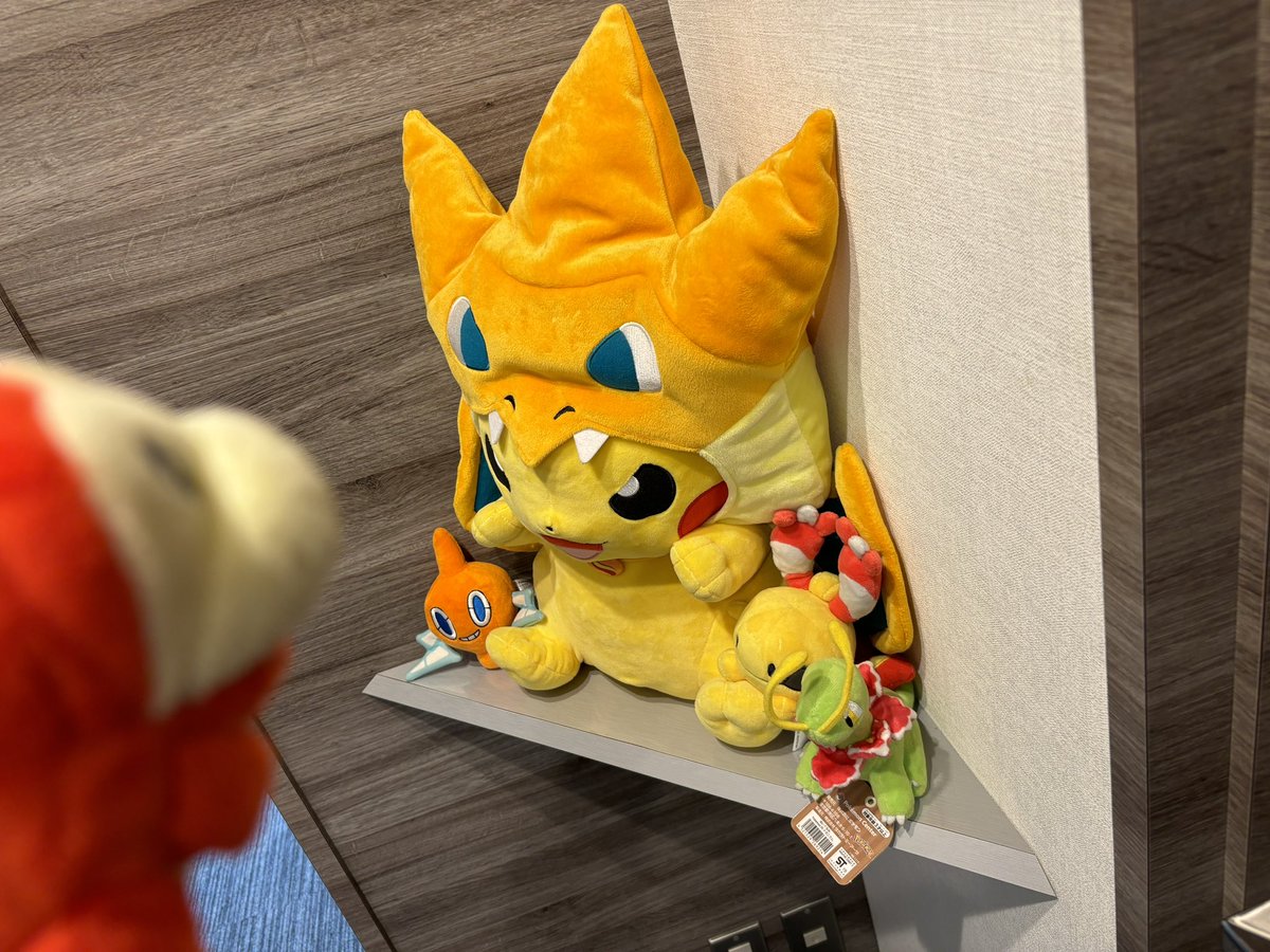 T_Anon_Pokemon2's tweet photo. 念願のプレイジム！！
知らないカードだらけで、眺めているだけでも楽しかったです☺️
昨日ぶりのお姉さん、そして2年ぶりのお兄さん、ありがとうございました。 https://t.co/cj25n3WlZd