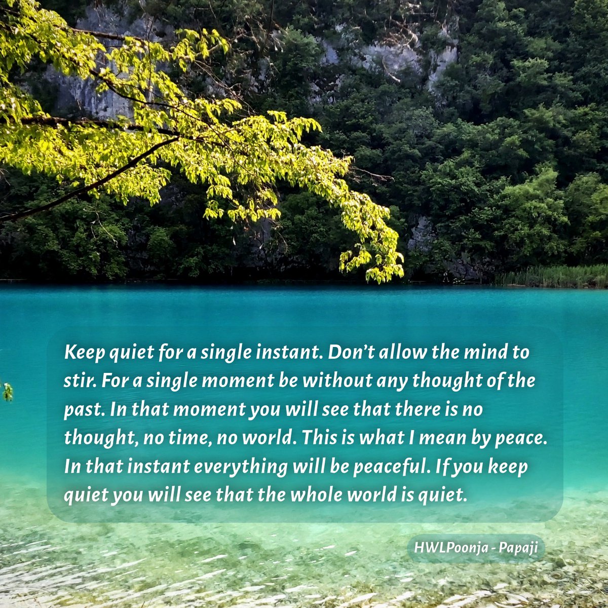 HwlPoonja's tweet photo. Keep quiet for a single instant. Don't allow the mind to stir. In that instant everything will be peaceful. If you keep quiet you will see that the whole world is quiet.
https://t.co/gm8bvNHECW
#poonjaji #hwlpoonja #lionoflucknow #advaita #nonduality #selfenquiry #fireoffreedom https://t.co/oHpRsZoG84