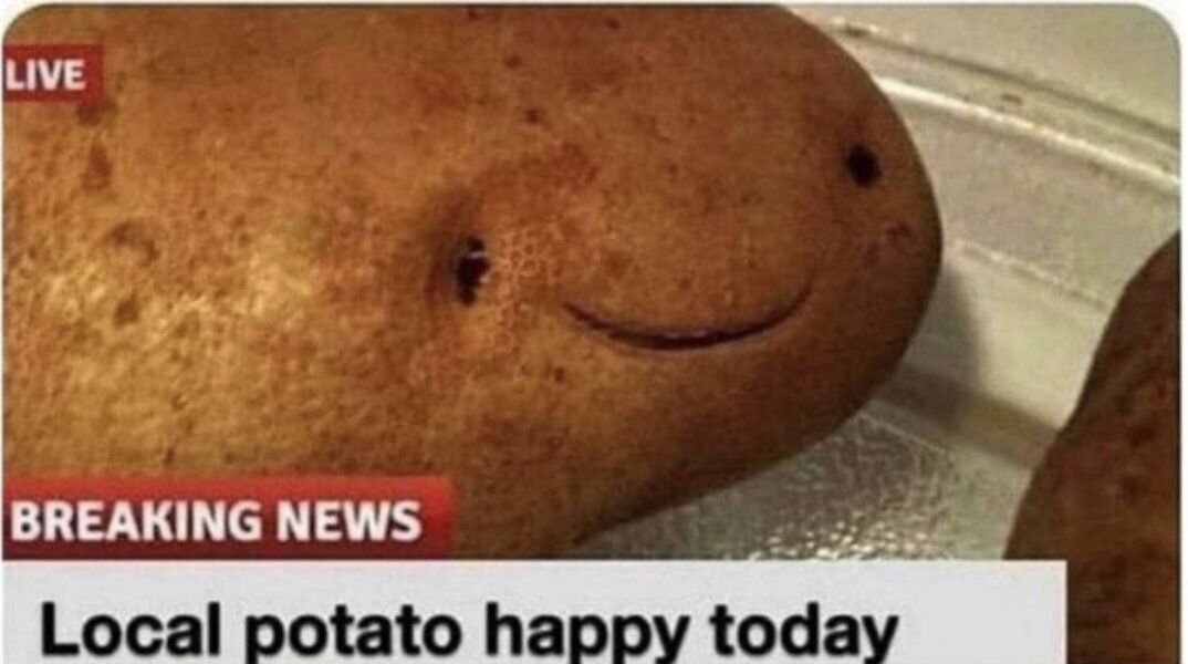 WholesomeMeme's tweet image. 
