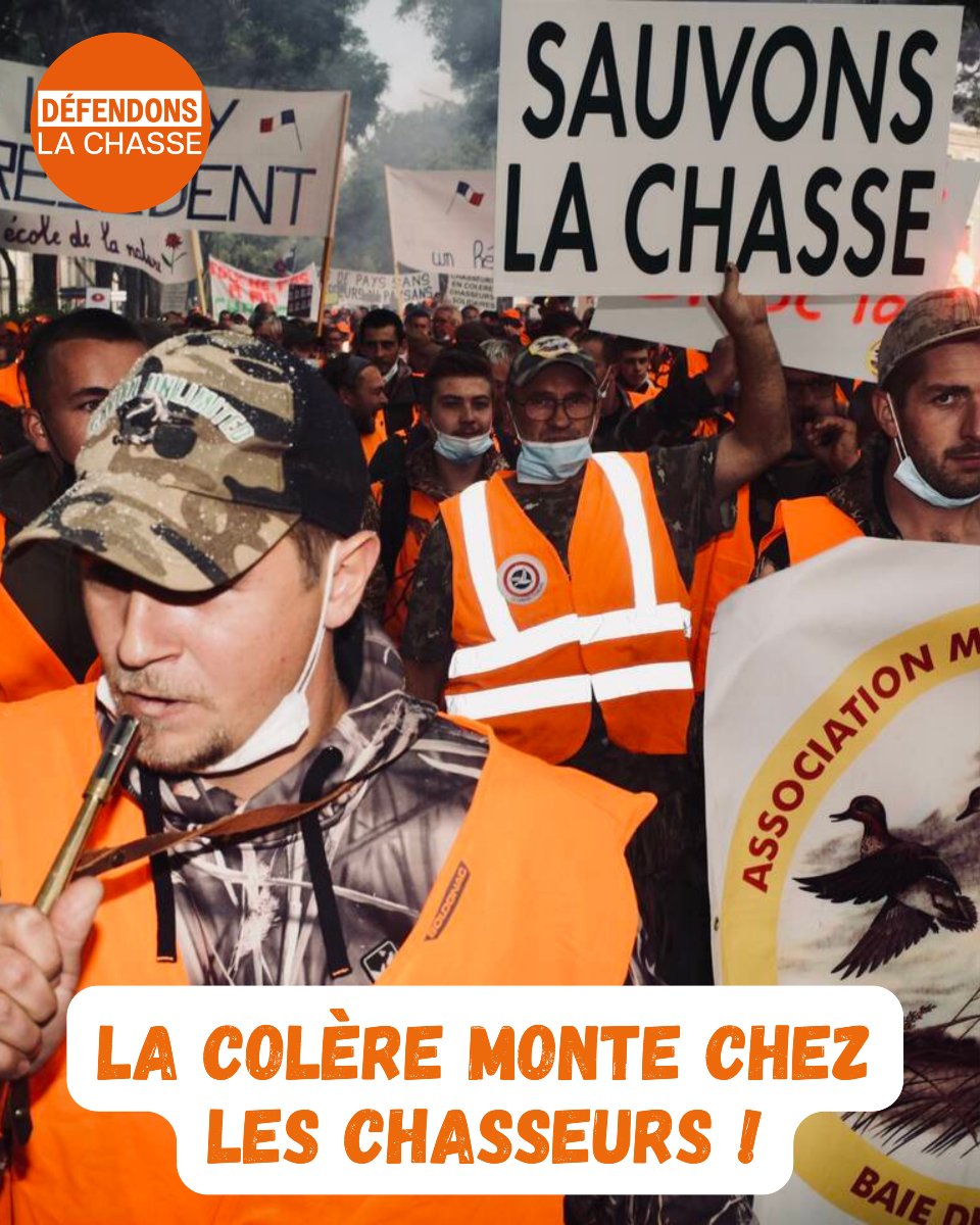 L’exploit de Pannier-Runacher ? Avoir uni tous les chasseurs dans la même colère ! 😡

En s’attaquant une fois de plus à notre passion, notre mode de vie, et nos traditions, la Ministre a réussi ce que peu avaient su faire : réveiller une colère monstre chez les chasseurs !