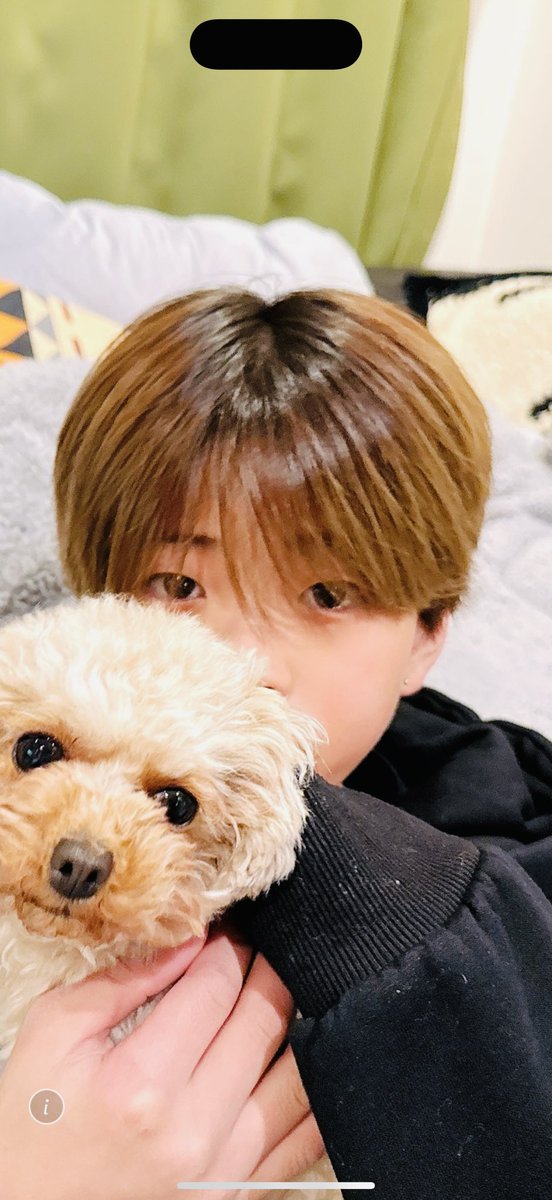 eito1229's tweet photo. #半田龍臣
#PCYCHICFEVER
#ペット 
#犬
龍臣くん、えいとの家の犬のマロンだよー。チャチャとチョッパーは元気かな？ https://t.co/WJS3g73T1B
