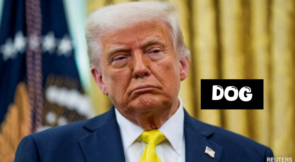 Dimah Zehra tweet media