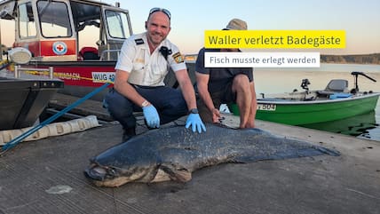 Als sie Harambe holten, habe ich geschwiegen; ich war ja kein Affe.

Als sie Chico holten, habe ich geschwiegen, ich war ja kein Kampfhund.

Als sie den Wels holten, habe ich geschwiegen, ich war ja 90kg Wels.

Als sie mich holten, gab es keinen mehr, der protestieren konnte.