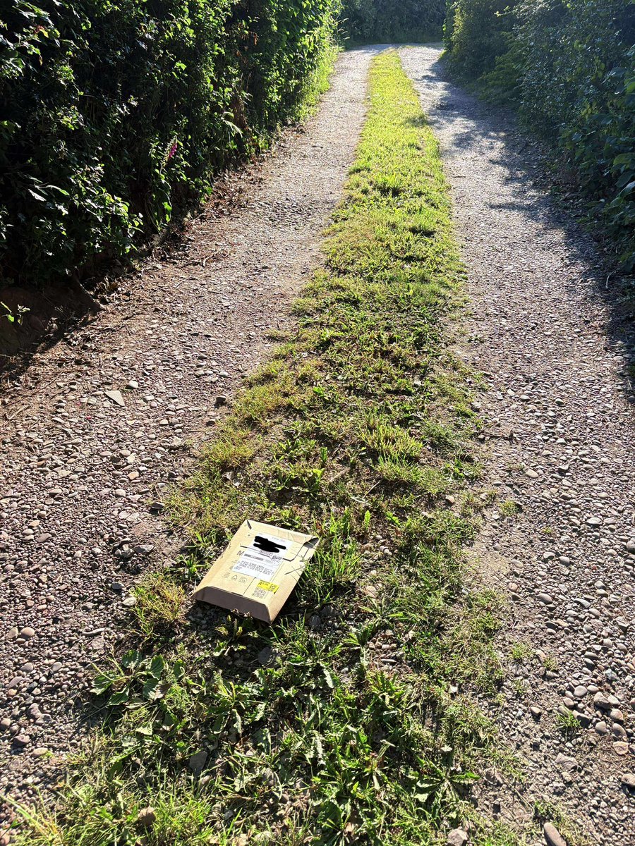 Jacky Marples tweet media