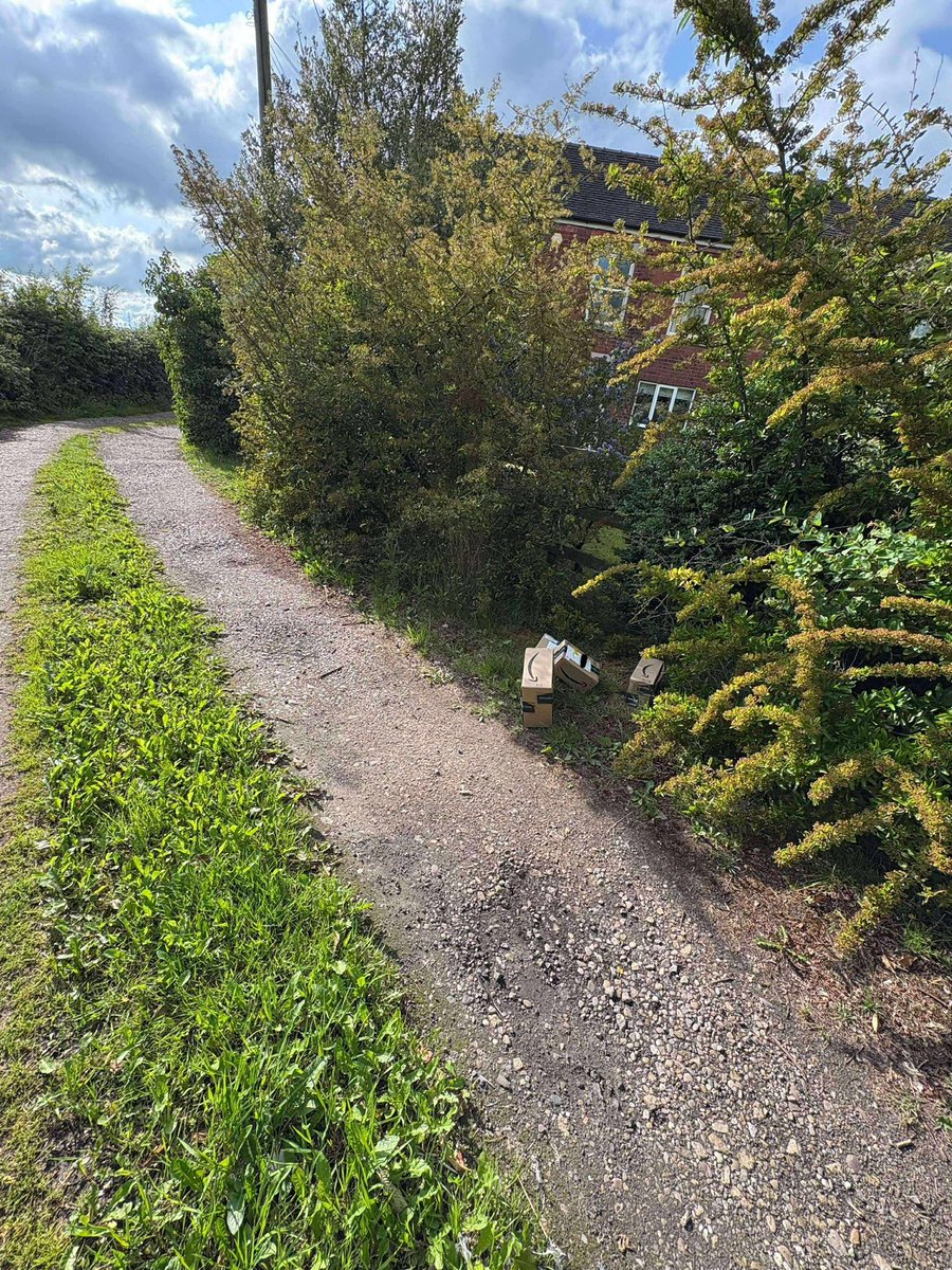 Jacky Marples tweet media