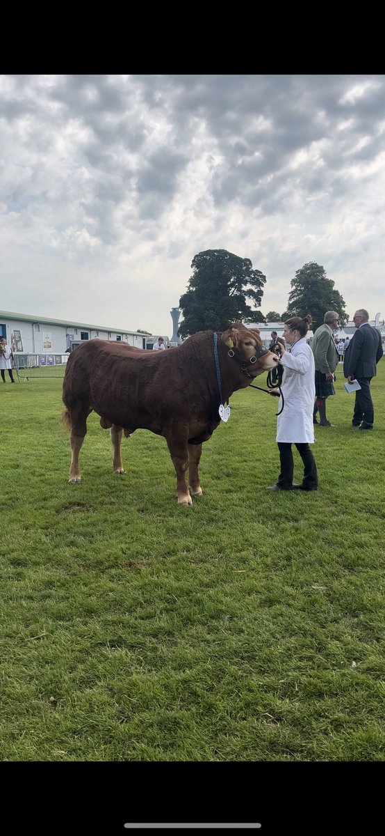 Gemma Cooper tweet media