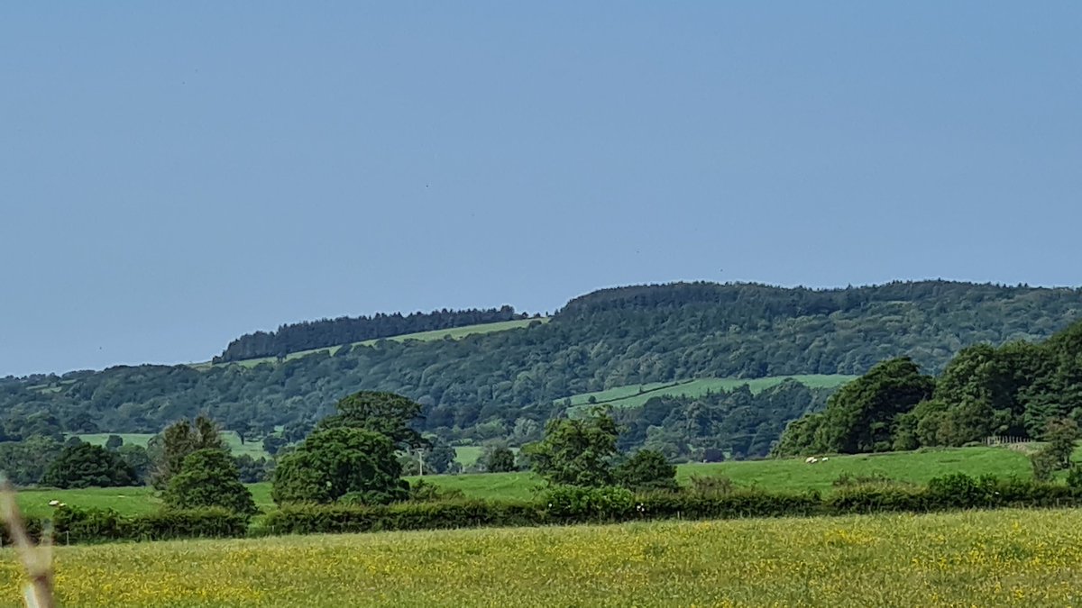 Good morning fellow Christians! Jesus is The Truth! Hallelujah!