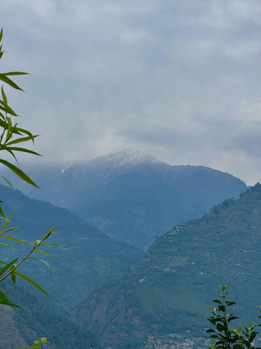 nazariyaa__'s tweet image. No matter how many years pass, I’ll always admire the mountains I grew up with 🏔️🌲