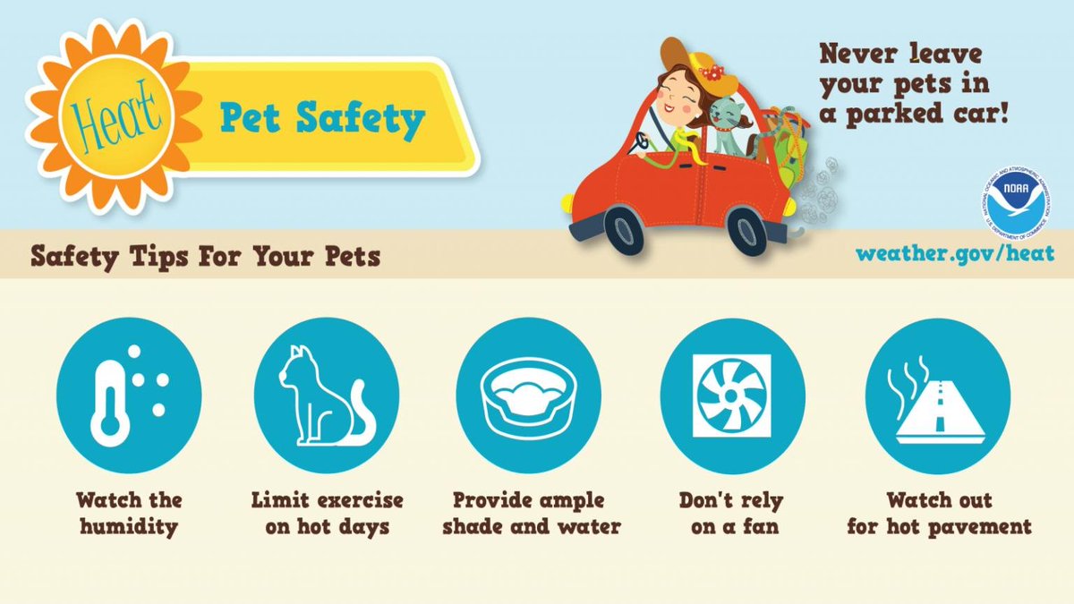 Don't forget about your four-legged friends during the ongoing heat.  Take these steps to keep your pets safe from harm, and never leave pets in a parked car! #INwx
