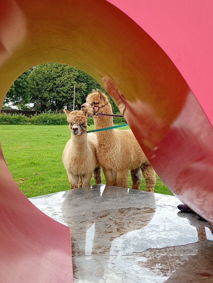 Art in the Gart (@artinthegart) on Twitter photo Fraser and Fergus pause for thought, a drink and a visit to our public artwork Two Hearts #jephsonrobb before leaving Gartnavel site having visited inpatient wards of Gartnavel Royal Hospital <a href="/GCHSCP/">Glasgow City HSCP</a> <a href="/NHSGGC/">NHS Greater Glasgow and Clyde</a> Fraser and Fergus pause for thought, a drink and a visit to our public artwork Two Hearts #jephsonrobb before leaving Gartnavel site having visited inpatient wards of Gartnavel Royal Hospital <a href="/GCHSCP/">Glasgow City HSCP</a> <a href="/NHSGGC/">NHS Greater Glasgow and Clyde</a>