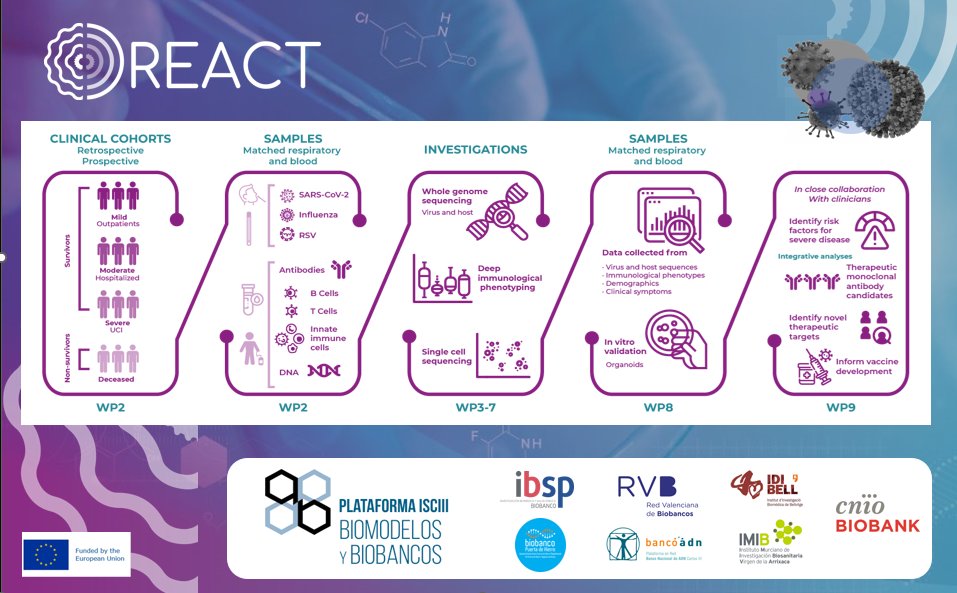 @REACT_PROJECTEU (@react_projecteu) on Twitter photo Coordinating efforts allows for a more effective response to #pandemics and can help limit the spread of diseases! <a href="/CNIOBiobank/">CNIO_Biobank</a>, under <a href="/PNBB_ISCIII/">Platform ISCIII Biomodels and Biobanks</a>, created a #cohort to provide #samples & #data from patients with varying disease severity. Coordinating efforts allows for a more effective response to #pandemics and can help limit the spread of diseases! <a href="/CNIOBiobank/">CNIO_Biobank</a>, under <a href="/PNBB_ISCIII/">Platform ISCIII Biomodels and Biobanks</a>, created a #cohort to provide #samples & #data from patients with varying disease severity.