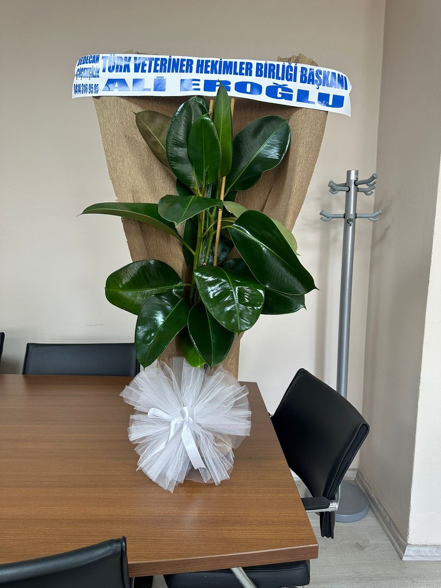 Türk Veteriner Hekimleri Birliği Merkez Konseyi Başkanı Ali EROĞLU ve Şanlıurfa Veteriner Hekimler Odası Başkanı Abdullah AÇIKGÖZ’e nazik ziyaretleri için teşekkür ediyoruz. <a href="/mtahirgulluoglu/">Prof. Dr. Mehmet Tahir GÜLLÜOĞLU</a> <a href="/NihatDenek/">Prof.Dr. Nihat Denek</a> <a href="/DenizPKorkmaz/">Prof. Dr. Deniz Korkmaz</a> <a href="/hrumedya/">Harran Üniversitesi</a> <a href="/merkezkonseyi/">Türk Veteriner Hekimleri Birliği</a> <a href="/sanliurfavho/">Şanlıurfa Veteriner Hekimleri Odası</a>