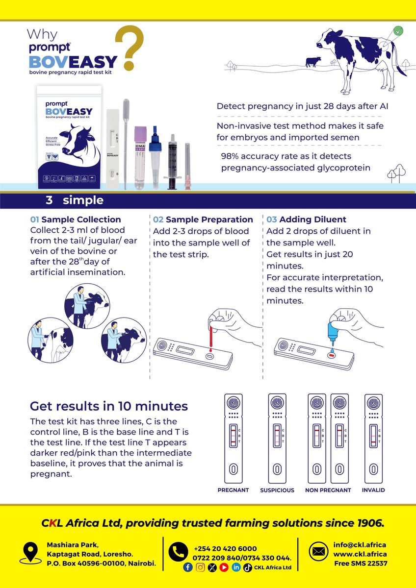 The secret’s out! No more waiting. No more guessing. The Prompt BOVEASY bovine pregnancy rapid test kit for cows is HERE  and it’s a game-changer!
✔️ Quick results
✔️ Easy to use
✔️ Farm-tested accuracy
Let’s take the guesswork out of breeding — Promptly! #doingmorewithyou