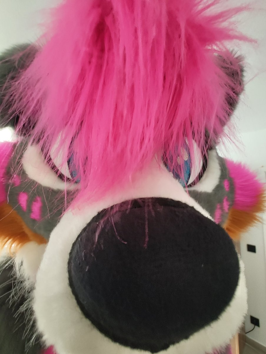 QT with your snoots