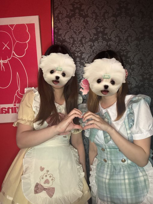 Concept Cafe＆Bar Beeのツイート