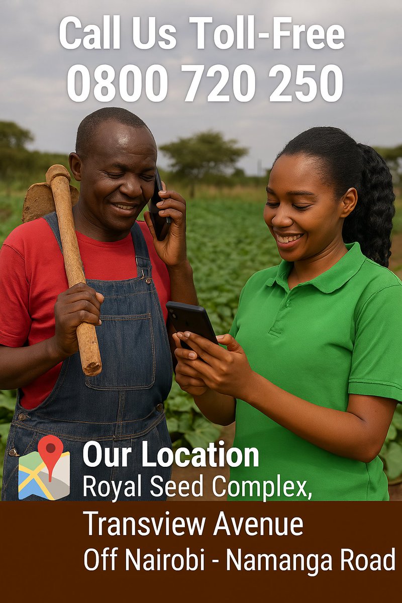 Need farm support? We’re just a call away! ☎️   📍 Location: Royal Seed Complex   📞 Toll-Free: 0800 720 250   Your farm. Our priority. 
#Royalseed #SmartFarming #AgriSupport