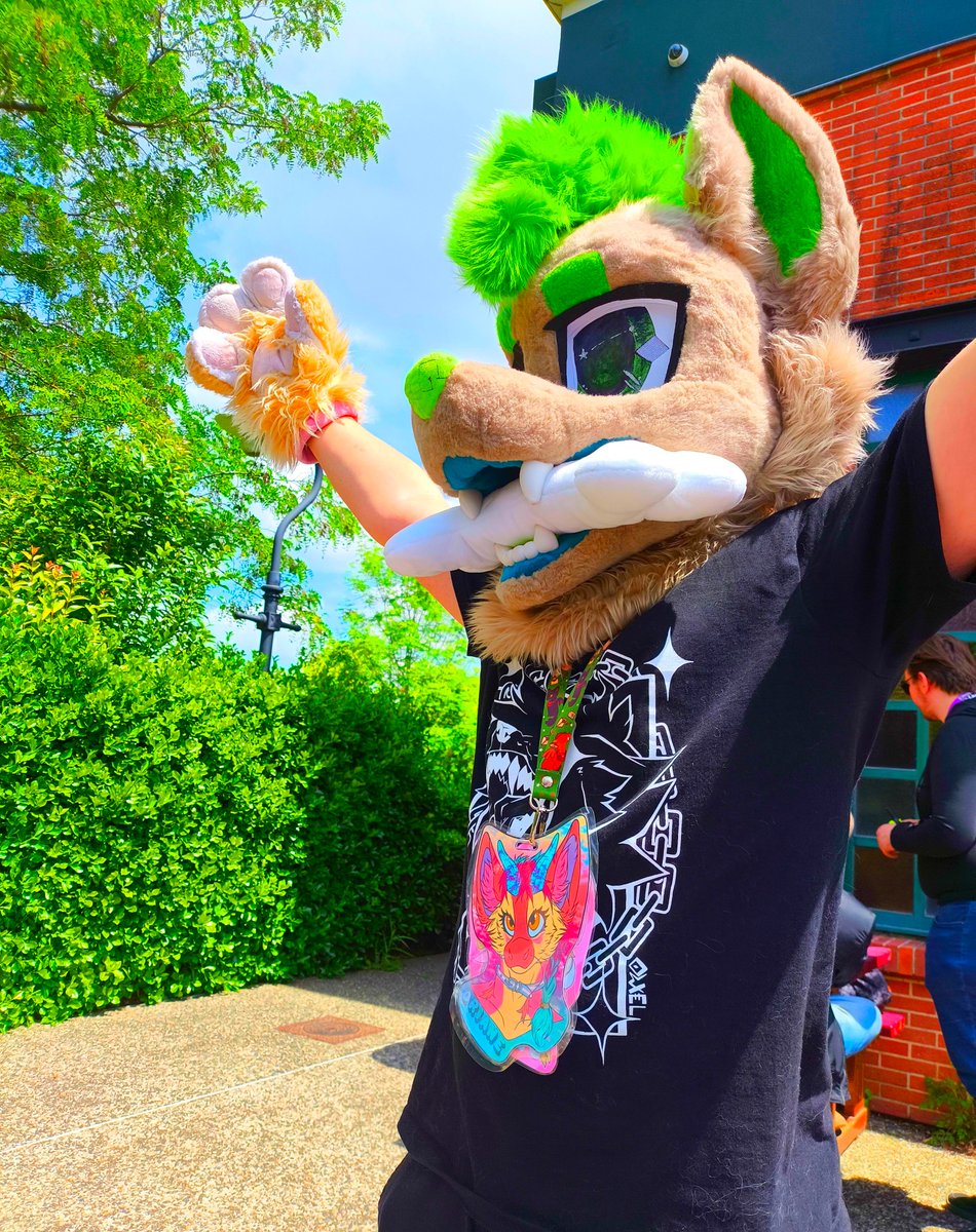 drow_iane's tweet photo. I'm really crazy when I get into it but this suit was incredible

•

🐾 Fursuit of @AtiladaWolf  
🧵 Fursuitmaker and t-shirt by @0wxel 
📷 Picture by @.raileyyyyyyyyyy

•

🏷 #furry #photofurry #furrycomunity #furryart #cute https://t.co/c2w3XfctwA
