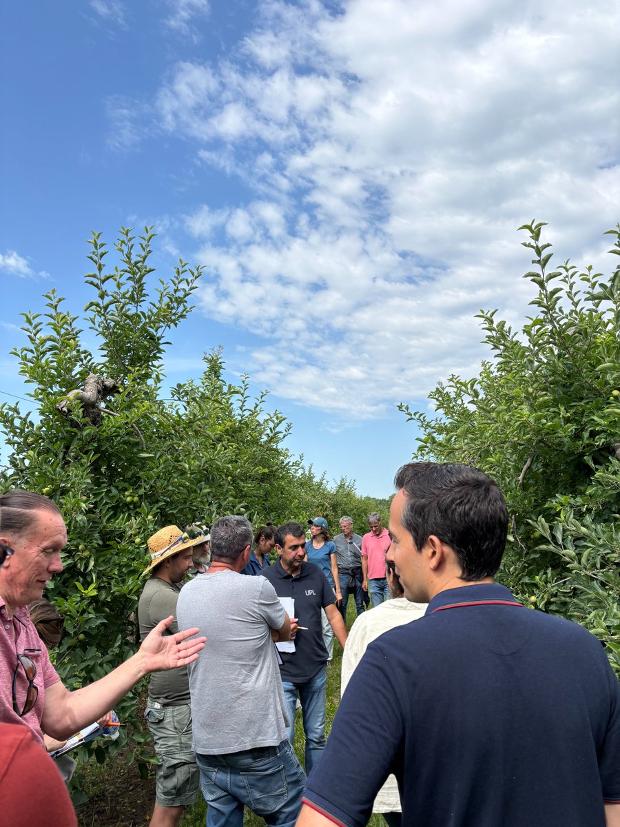 Clap de fin des Campus Arbo 2025🎬
Vous étiez plus de 80 à être présents à la 6ème édition des Campus Arbo UPL.🍎
Ateliers, échanges techniques avec des experts de l’arboriculture, convivialité… le format des rencontres a fait l’unanimité. Merci à tous d’avoir été à nos côtés !