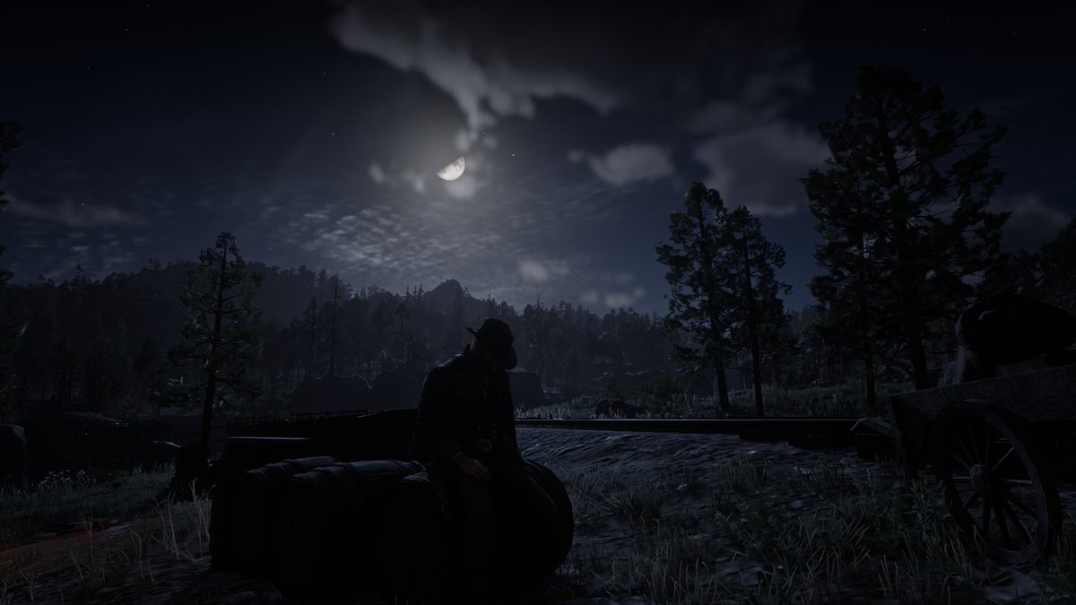 "We're thieves in a world that don't want us no more."
- Arthur Morgan