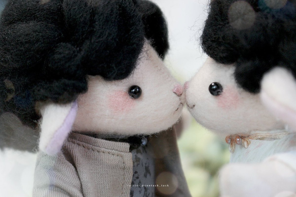 - 택 인형계 tweet media