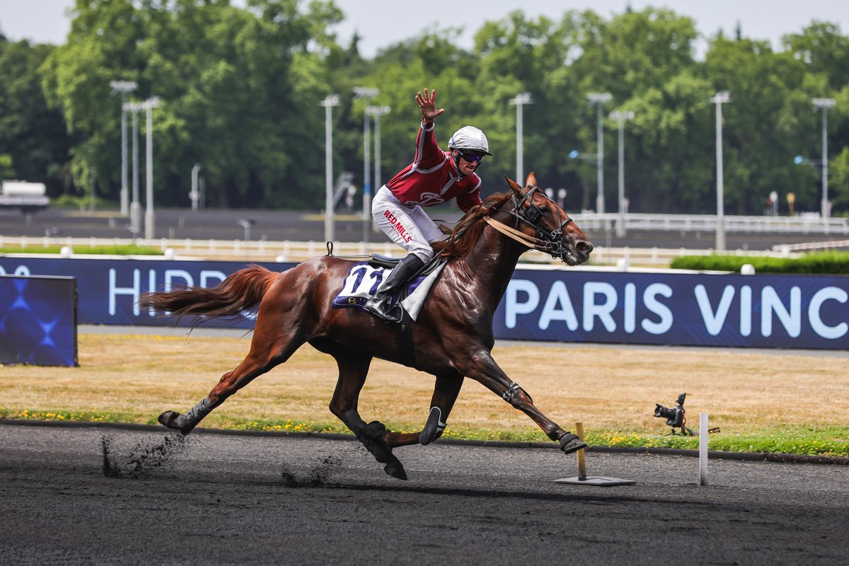 𝗠𝗲́𝘁𝗲́𝗼𝗿𝗲 𝗱𝗲 𝗦𝗶𝗺𝗺 dans une autre dimension☄️

Invaincu à l'Étrier il a dominé le Prix d'Essai-Étrier 3 Ans Finale🏆
À lire ici👉 urlz.fr/uCOr 

📸Bruno Vandevelde