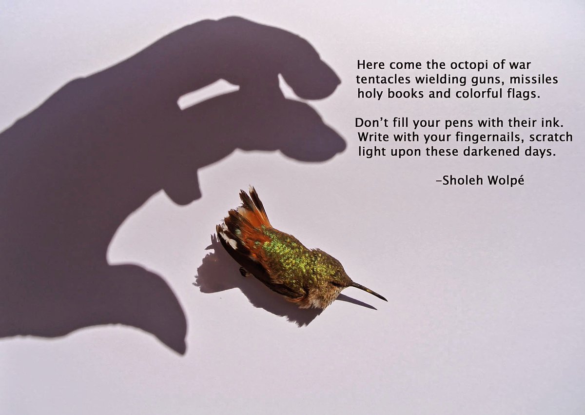 Sholeh Wolpé (@sholeh_wolpe) on Twitter photo 