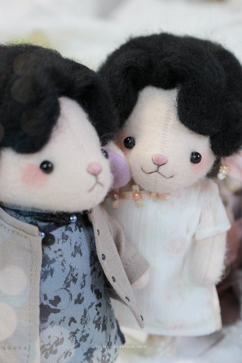- 택 인형계 tweet media