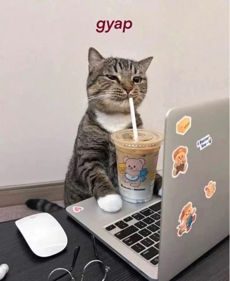 YAP Global tweet media