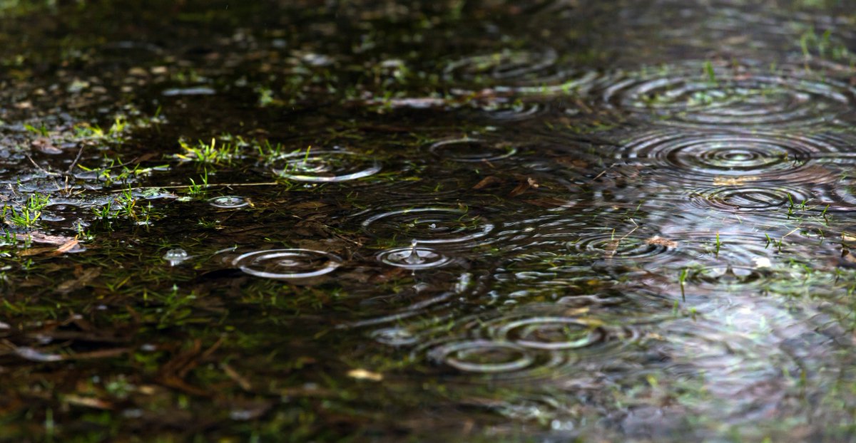 Mei 2025 was een van de droogste maanden ooit. Tropische temperaturen en droogte vragen om actie. Leer regenwater slim gebruiken tijdens de gratis workshop ‘Afkoppelen regenwater’ in Zeewolde.

Do 10 juli, 19:00 – 20:30
👉 Aanmelden via energieloketzeewolde.nl