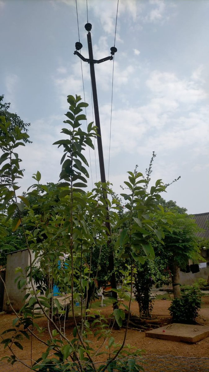 Abhishek Behera. (@abhishe79587568) on Twitter photo <a href="/EnergyOdisha/">Energy Odisha</a> <a href="/SecyChief/">ChiefSecyOdisha</a> <a href="/DM_Mayurbhanj/">Collector & District Magistrate Mayurbhanj</a> <a href="/MoHUA_India/">Ministry of Housing and Urban Affairs</a> <a href="/HUDDeptOdisha/">H & UD Dept</a> ବାରମ୍ବାର SDO Office ଏବଂ Executive Engineer ଙ୍କ ଦ୍ବାରସ୍ଥ ହେଲାପରେ ମଧ୍ୟ ସେମାନେ କୌଣସି କାର୍ଯ୍ୟକ୍ରମ ନିରାପଦ ପନ୍ଥା ଗ୍ରହଣ କରୁନାହାନ୍ତି 🙏 ଜନବସତି ବିପଦରେ ଅଛି ସାର୍ ଆପଣ ହିଁ ତାଙ୍କୁ ସାହା ଭରସା <a href="/EnergyOdisha/">Energy Odisha</a> <a href="/SecyChief/">ChiefSecyOdisha</a> <a href="/DM_Mayurbhanj/">Collector & District Magistrate Mayurbhanj</a> <a href="/MoHUA_India/">Ministry of Housing and Urban Affairs</a> <a href="/HUDDeptOdisha/">H & UD Dept</a> ବାରମ୍ବାର SDO Office ଏବଂ Executive Engineer ଙ୍କ ଦ୍ବାରସ୍ଥ ହେଲାପରେ ମଧ୍ୟ ସେମାନେ କୌଣସି କାର୍ଯ୍ୟକ୍ରମ ନିରାପଦ ପନ୍ଥା ଗ୍ରହଣ କରୁନାହାନ୍ତି 🙏 ଜନବସତି ବିପଦରେ ଅଛି ସାର୍ ଆପଣ ହିଁ ତାଙ୍କୁ ସାହା ଭରସା
