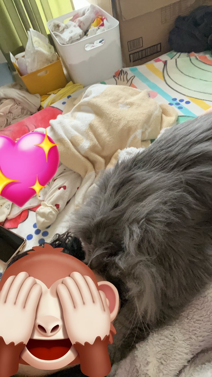 これが私の日常
#ラガマフィン 
#毎朝首元
