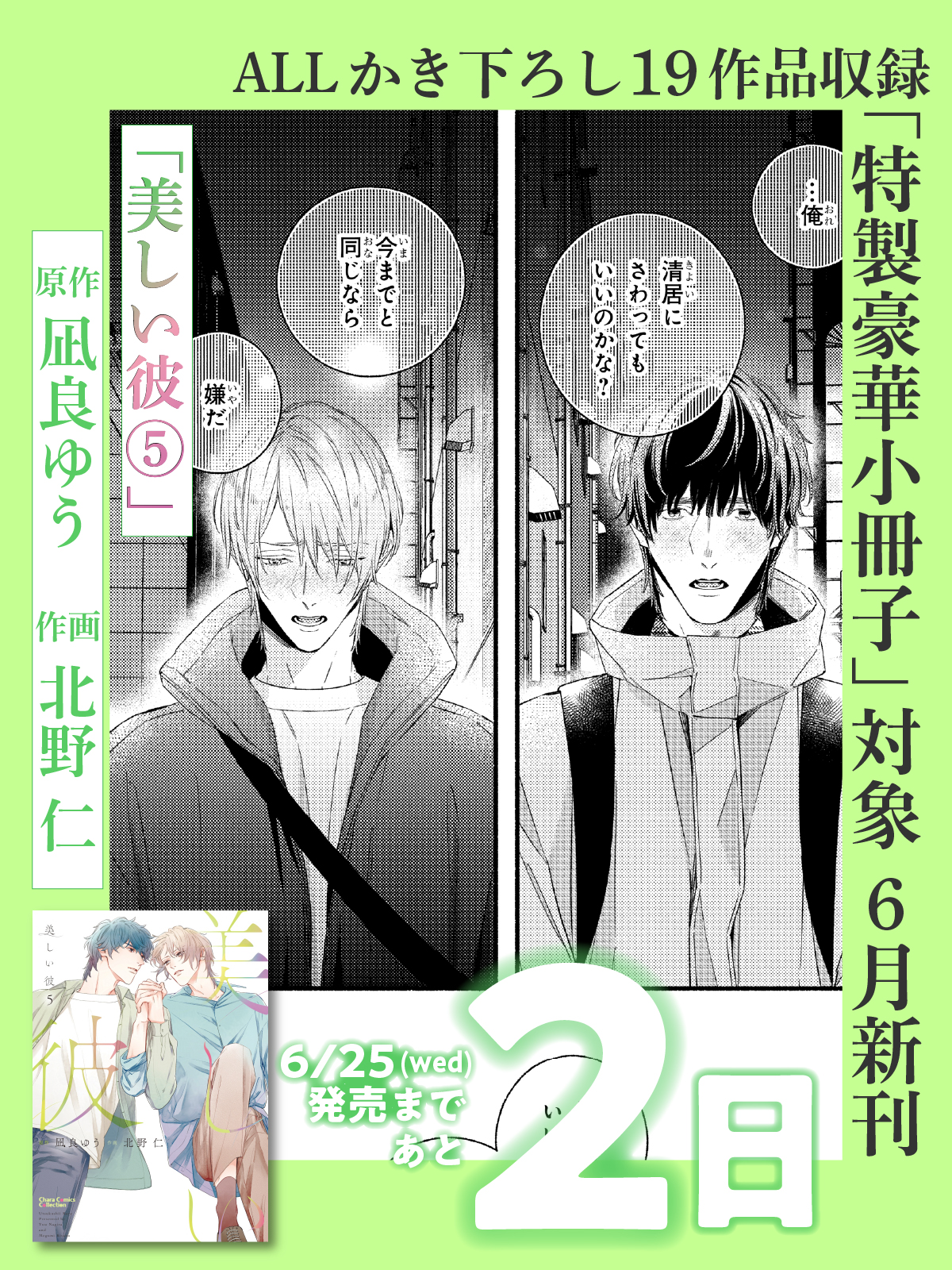 特典付 美しい彼 漫画版 1～5巻 全巻 初版 セット 北野仁 小冊子 ペーパー Bibian 比比昂 - 特典付 美しい彼 漫画版 1～4巻 全巻 初版