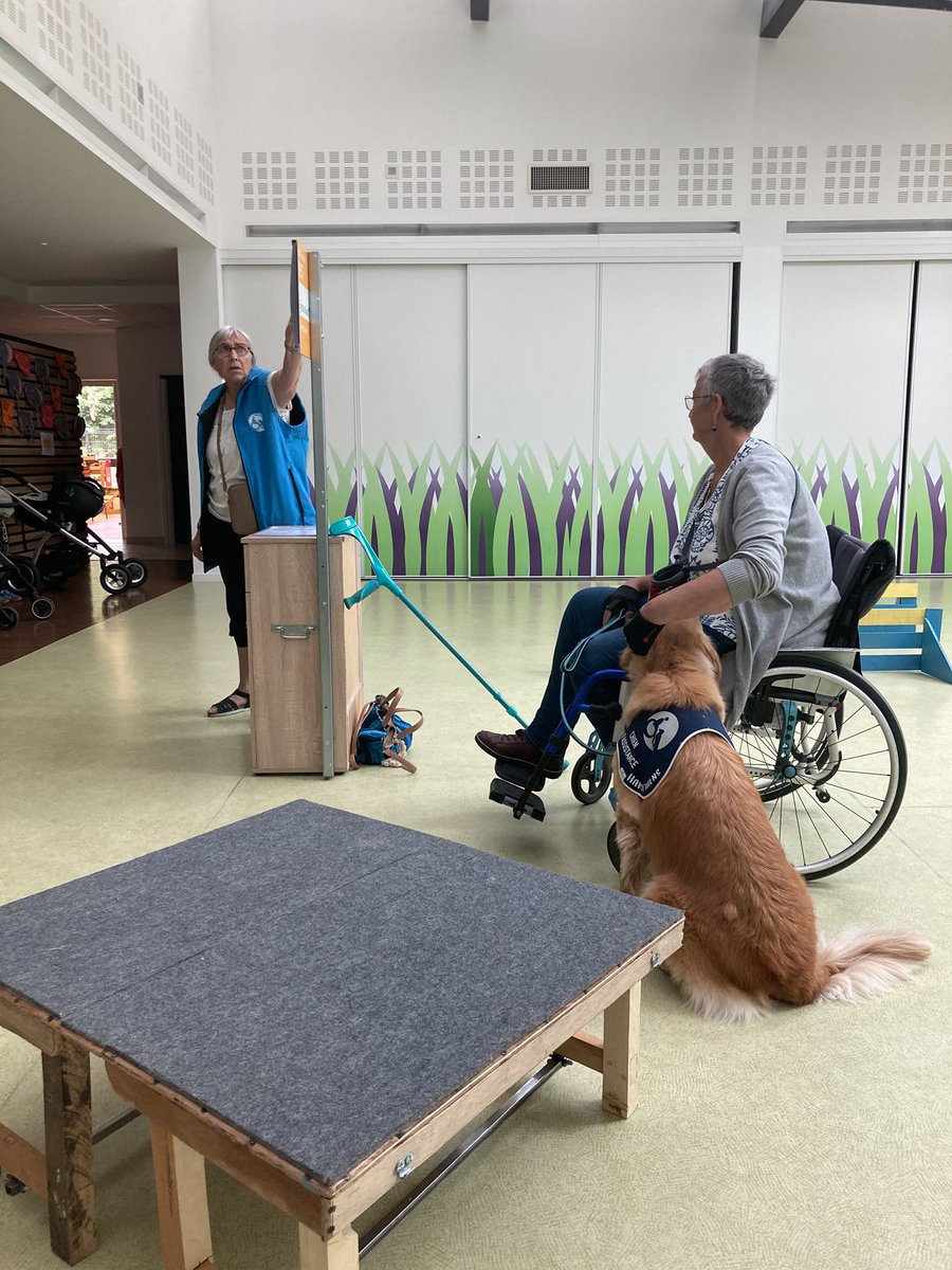 RivaD estelle tweet media