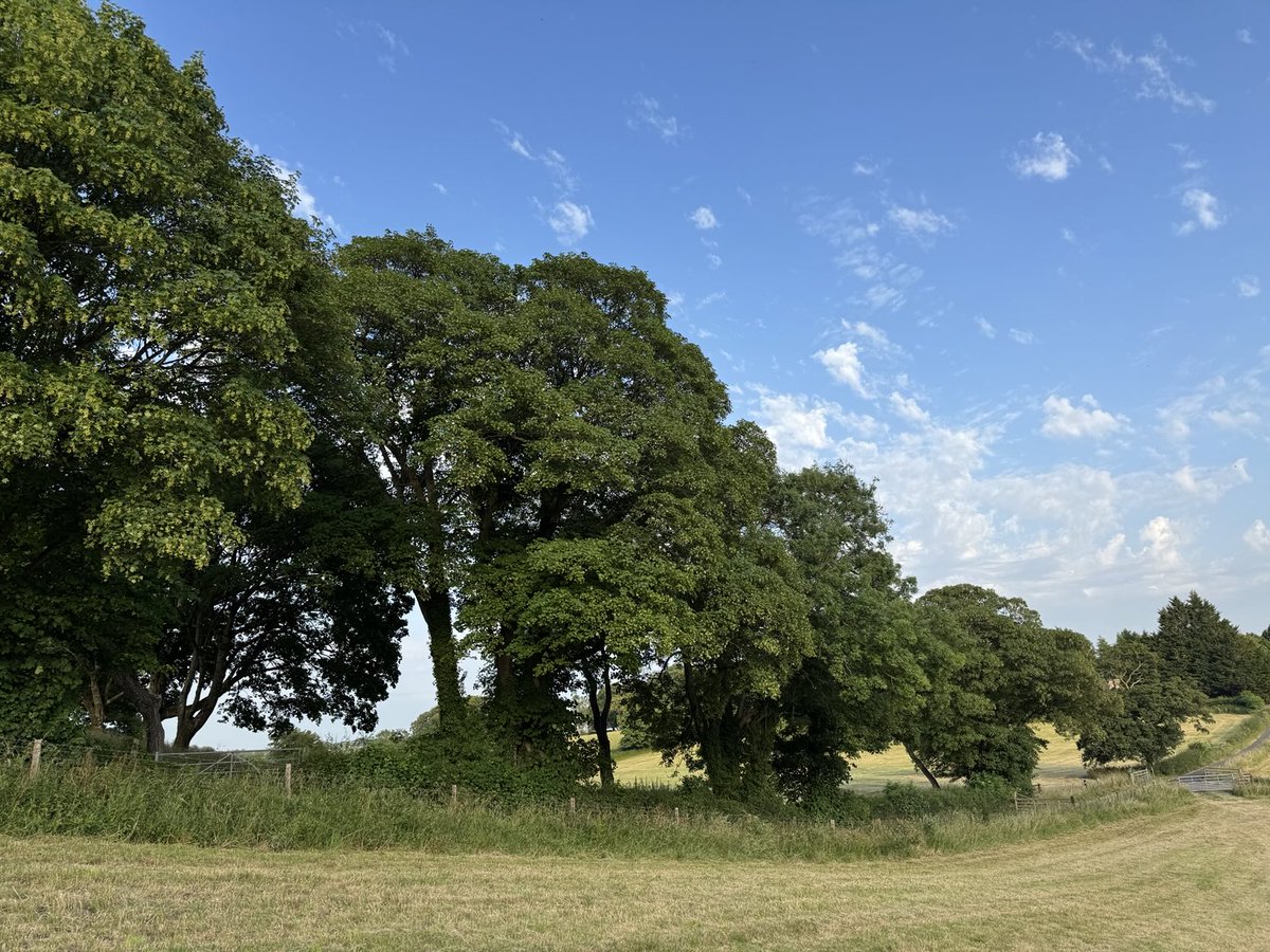 Debbie Chatting tweet media
