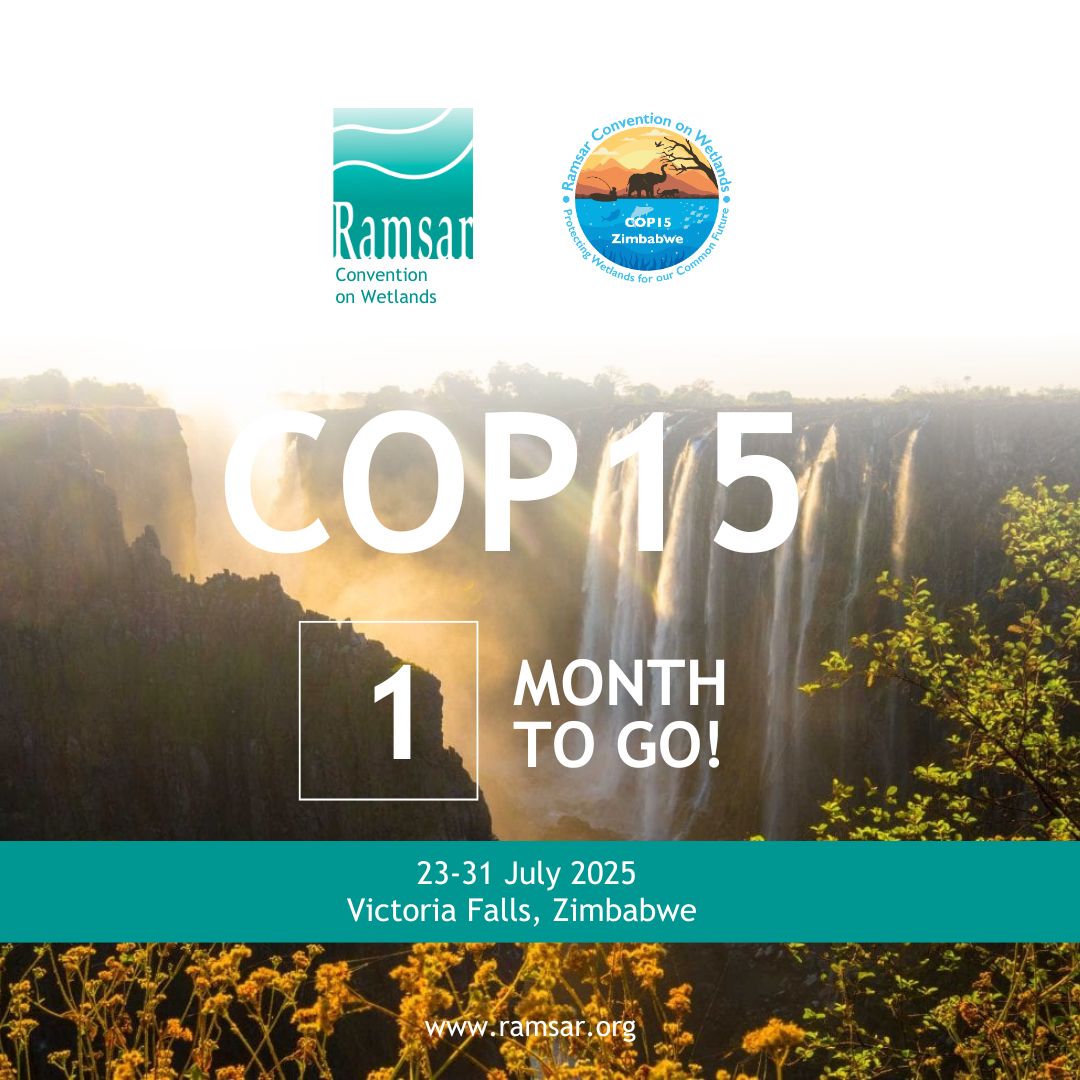 🌍1 month to go! #COP15Zimbabwe

With just less than a month left until the #WetlandsCOP15, the urgency to act has never been clearer.

This moment is more than a meeting, it's a global milestone. A chance to turn promises into policies, and ambitions into action.
