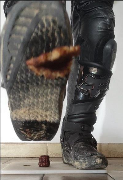 alpinestars_sidi tweet media